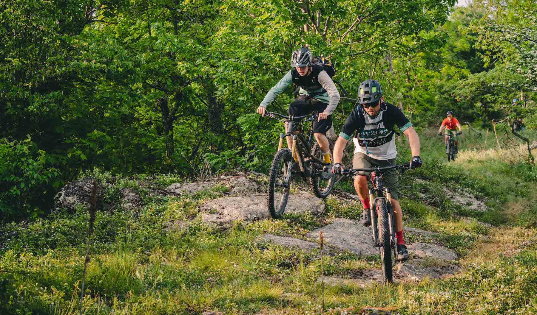 Downhill Mountain Bike Park at Bryce Resort